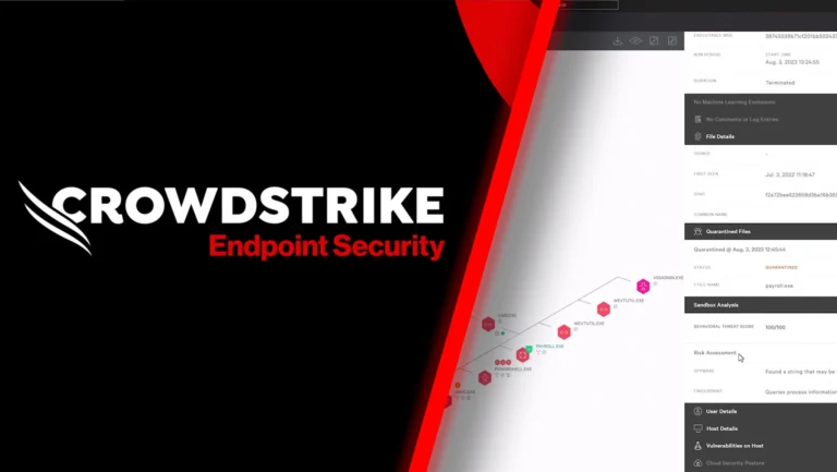 Navigating Cybersecurity Challenges with CrowdStrike