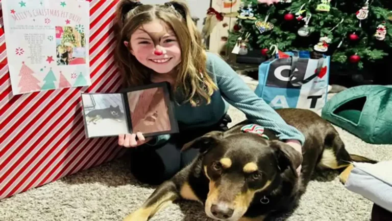 9-Year-Old Sparks Community Support with Pet Drive