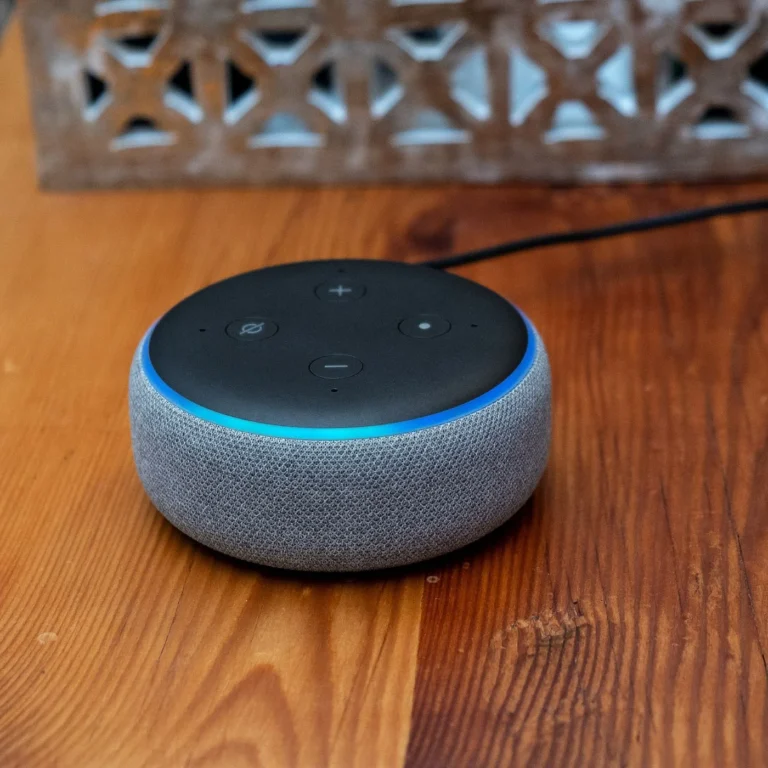 A Summer Expedition for Alexa's Subscription Paradigm